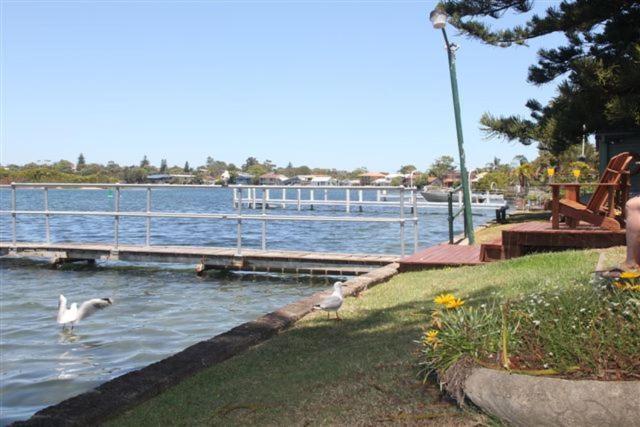 Black Swan Waterfront Motel (Adults Only) Суонзи Екстериор снимка